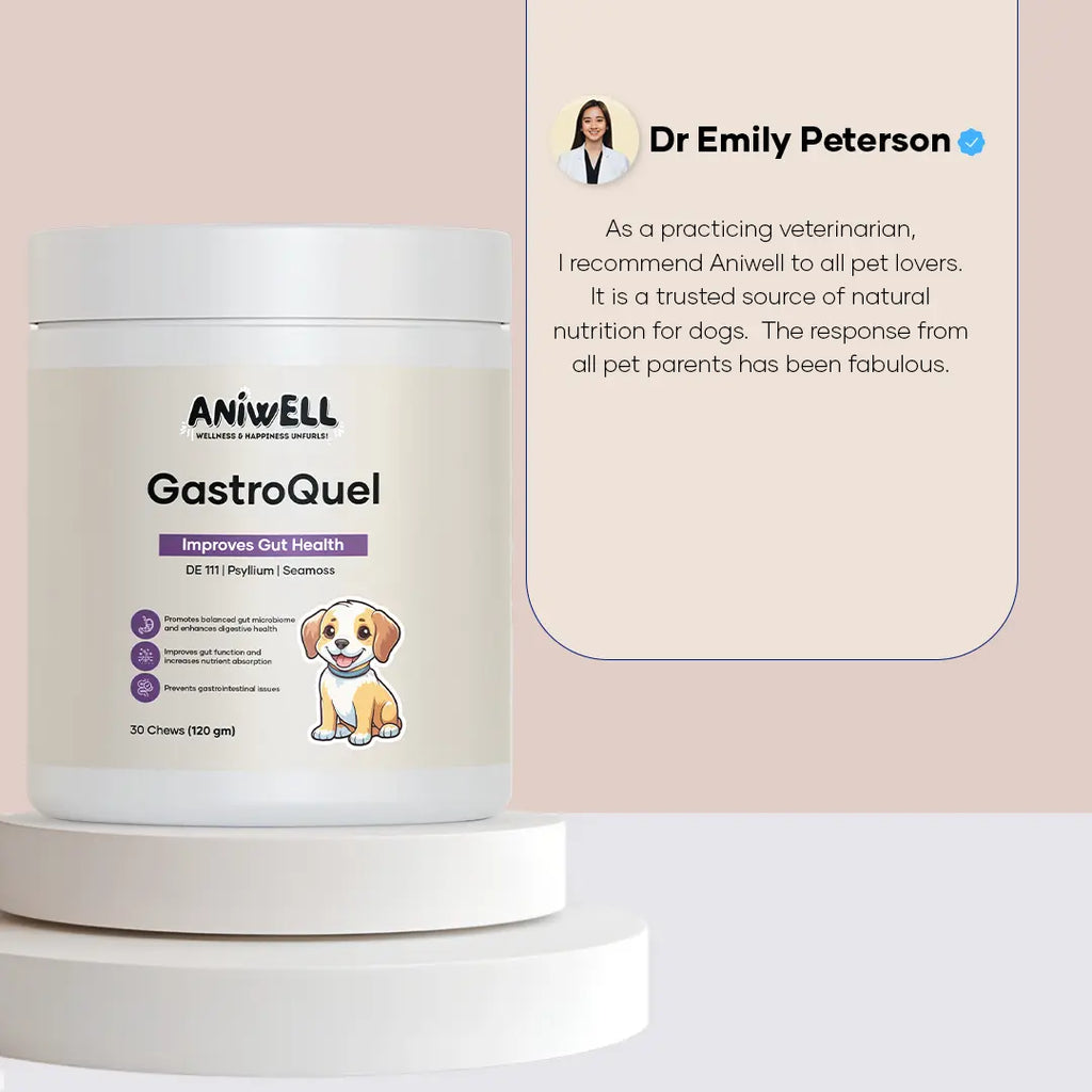 Aniwell Gastroquel for Dogs: a New Age Natural Solution for Gut Health, Diaerhea & Bowel Support