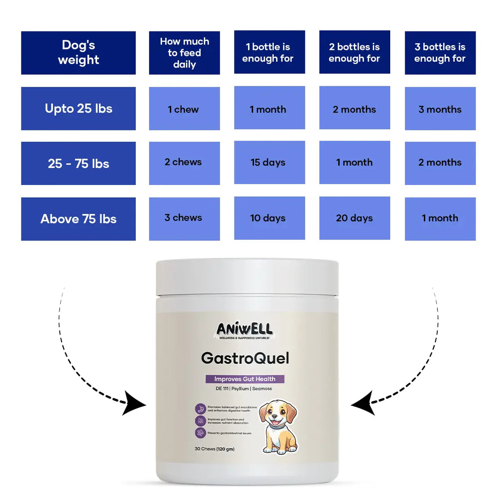 Aniwell Gastroquel for Dogs: a New Age Natural Solution for Gut Health, Diaerhea & Bowel Support