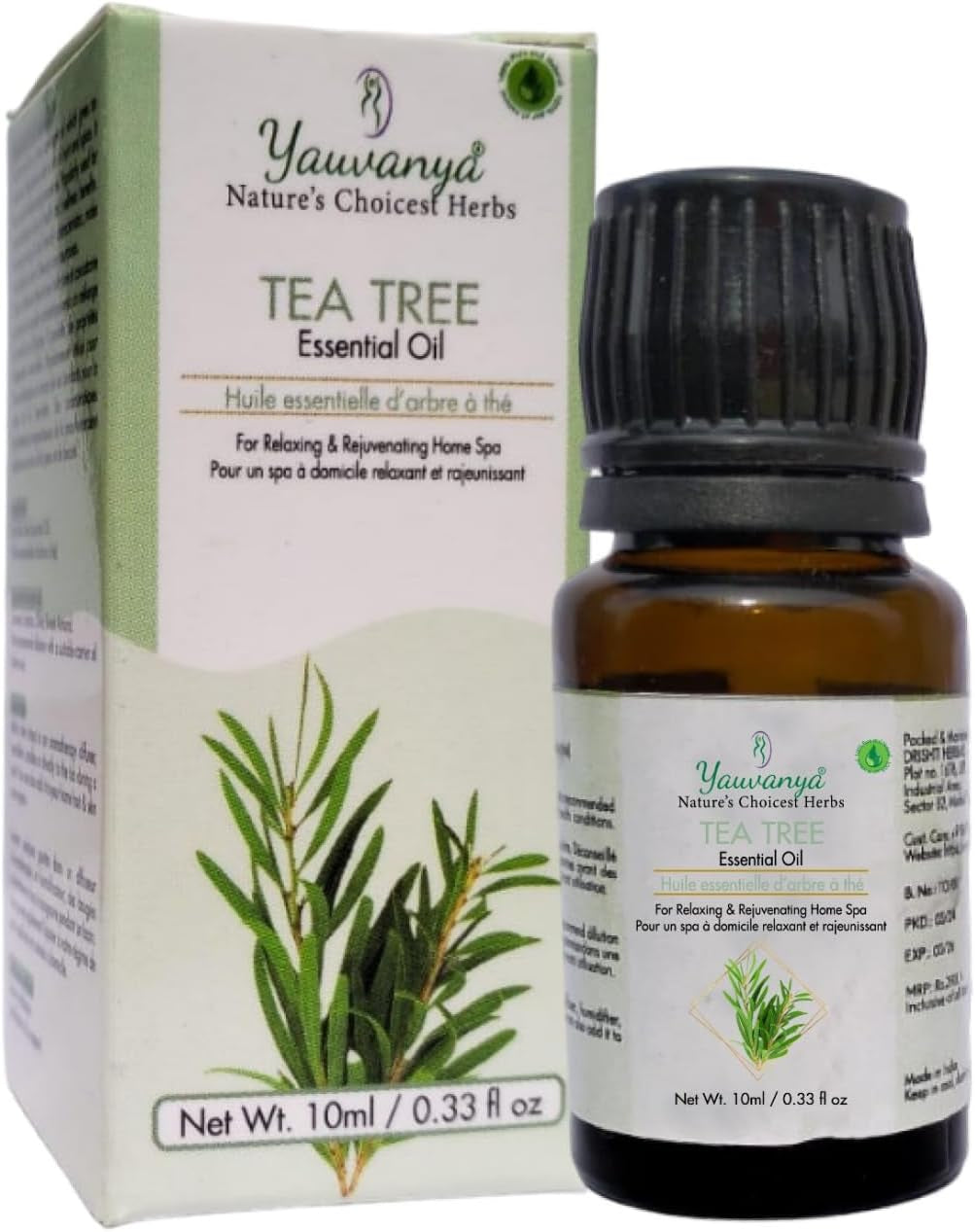 Tea Tree Essential Oil - 10Ml | Premium Grade | Steam Distilled | Aromatherapy | Massage |Bath Bombs | Bath and Body Care | Fragrance Oil | Candle Making | Humidifier | Diffuser