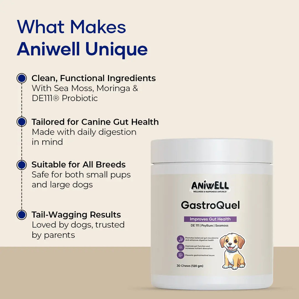 Aniwell Gastroquel for Dogs: a New Age Natural Solution for Gut Health, Diaerhea & Bowel Support