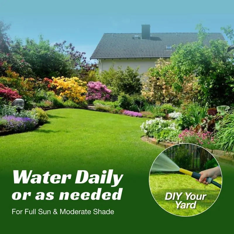 Lawn Seeds, Perennial Lawn Seeds, Suitable for Planting in Outdoor Yards and Landscape Areas. Suitable for Shady Areas. Grass