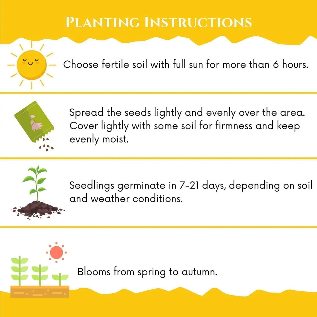 Lawn Seeds, Perennial Lawn Seeds, Suitable for Planting in Outdoor Yards and Landscape Areas. Suitable for Shady Areas. Grass