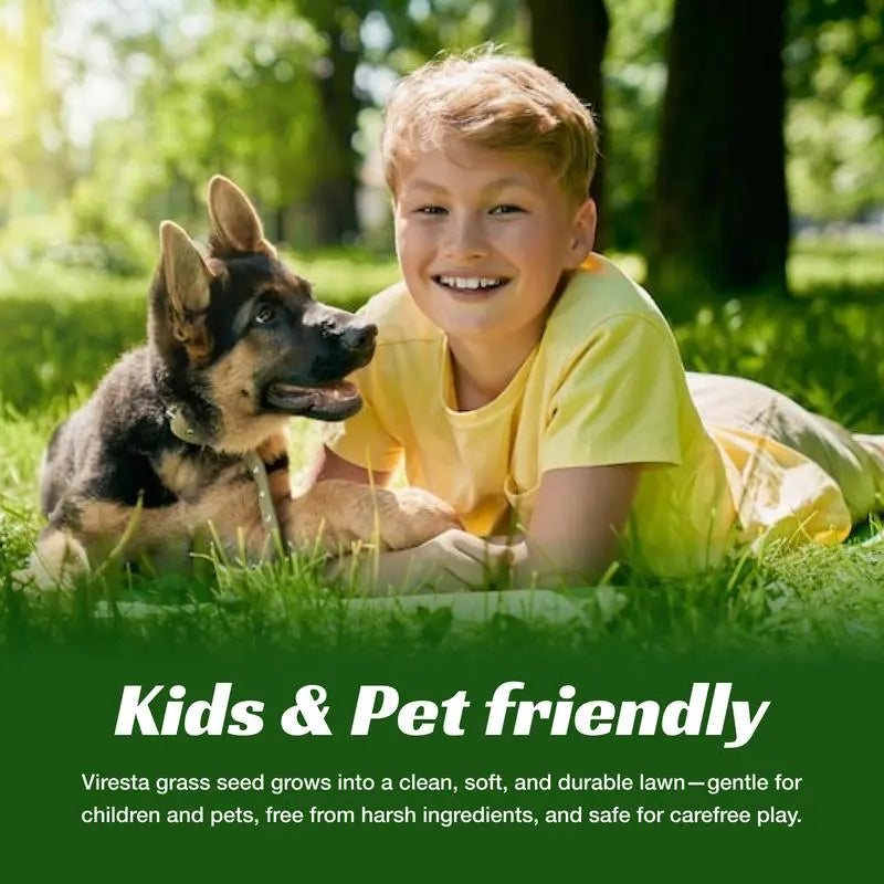 Lawn Seeds, Perennial Lawn Seeds, Suitable for Planting in Outdoor Yards and Landscape Areas. Suitable for Shady Areas. Grass