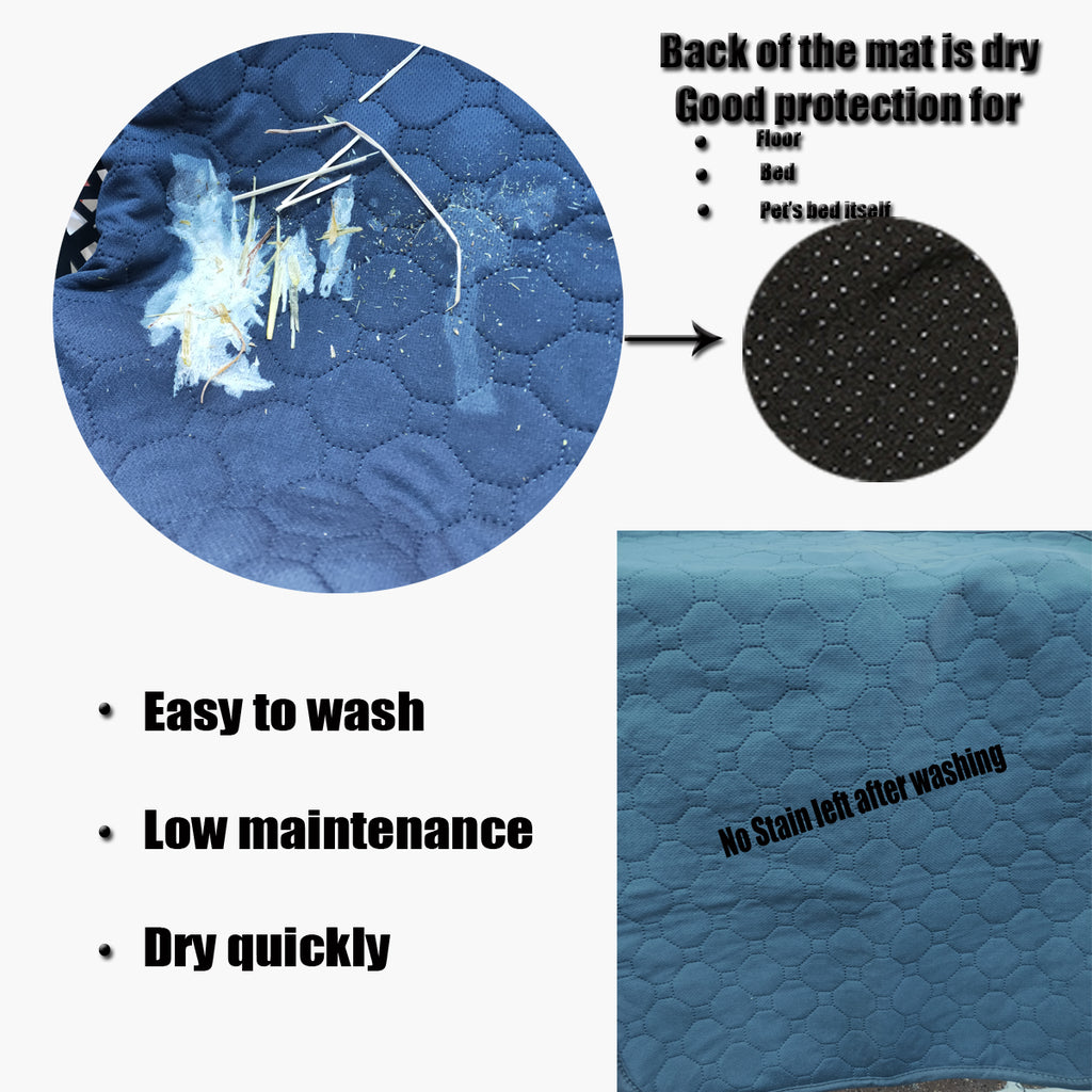 Freeship-Washa Freeship-Washa